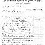 Underground Echoes: Aaron Rice (1819 – 1906) – Probate 101 Underground Echoes: Aaron Rice (1819 – 1906) – Probate 101