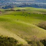 JMLT focuses on Almond Ranch property JMLT focuses on Almond Ranch property