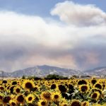 Wildfire smoke affecting Bay Area Wildfire smoke affecting Bay Area