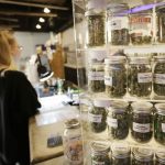 Martinez could have commercial marijuana law by November Martinez could have commercial marijuana law by November