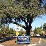 Hospice Tree Of Lights to shine again Saturday Hospice Tree Of Lights to shine again Saturday