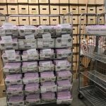 Elections Office updates procedure to avoid ‘multiple voting’ Elections Office updates procedure to avoid ‘multiple voting’