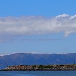 Park It by Ned MacKay: Volunteer at Crab Cove Park It by Ned MacKay: Volunteer at Crab Cove