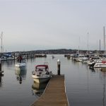 Marina Trust Lands Use Plan moves on to City Council Marina Trust Lands Use Plan moves on to City Council