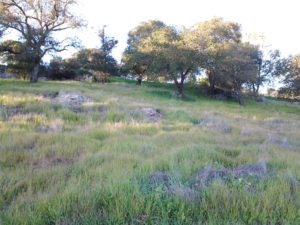 Tulocay Cemetery in Napa