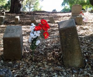 Final resting places for Virginia Menezes-Costa, Aaron Rice, and Ralph Vestor Walker